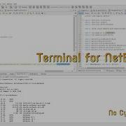 Day 13 A New Terminal For NetBeans