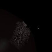 Volume Rendering Test