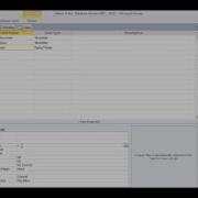 Adding Input Masks And Default Values And Validation Tools