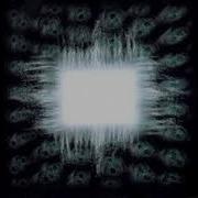Tool Forty Six Two Drop C