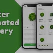 Flutter Custom Animation Grocery App Speed Code
