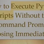 How To Execute Python Scripts Without The Command Prompt Closing Immediately
