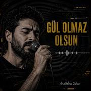 Gül Olmaz Olsun Hypnotic Kraut Rock