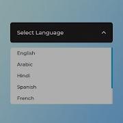 Custom Select Menu Using HTML CSS Javascript