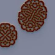 Labyrinth Reaction Diffusion Turing Pattern Morphogenesis