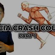 Introduction To Fascia Training Crash Course Part 1 Of 4 Hyperarch Fascia Training