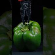 How Strong Is A Capsicum Watch The Base Hold Up Shorts Capsicum Satisfying