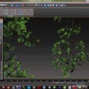 Creating Trees In 3ds Max Photoshop And CryEngine Part 3