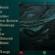 TORTURED SOULS TORTURED SOULS OFFICIAL FULL ALBUM