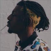 Flatbush Zombies TP4