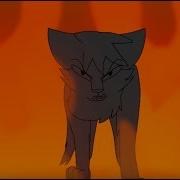 Ashfur Hellfire STORYBOARD