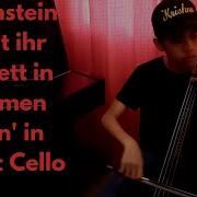 Wollt Ihr Das Bett In Flammen Sehen By Rammstein Cello Cover