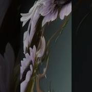 Free Tutorial Slitscanning