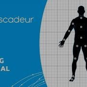 How To Quickly Rig Humanoid Character Using Quick Rigging Tool