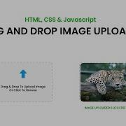 Drag Drop Image Upload With Preview Using HTML CSS JavaScript