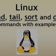 Linux Head Tail Sort And Diff Commands
