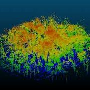 Individual Tree Segmentation From Terrestrial Laser Scanner Data