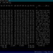 Cracking Simple XOR Cipher With Simulated Annealing