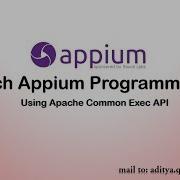 How To Launch Appium Server Programmatically In Java Using Apache Common Exec