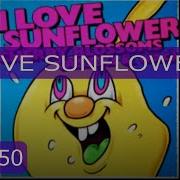 GITADORA I LOVE SUNFLOWER編