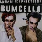 Bumcello Sweat