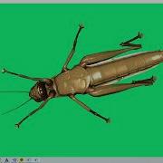 VTK Example VRMLImporterDemo Cxx