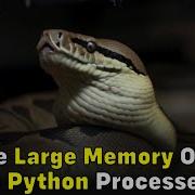 Find The Largest Python Objects Or Values Taking The Most RAM Using OpenResty XRay