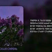 апрельская сирень