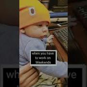 Work From Home Frustration Shorts Cutebaby