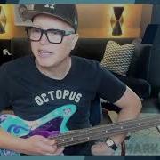 The Reason Why Mark Hoppus Stopped Using Ernie Ball Stingray Basses