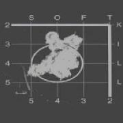 Soft Kill Feral Moans 2011