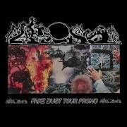 Fake Dust Tour Promo 2024