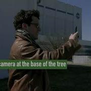 GLOBE Observer Trees