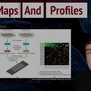 DNA Maps And Profiles