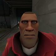 Maggot SFM