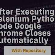 After Executing Selenium Python Code Google Chrome Closes Automatically