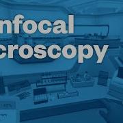 Learn Science Smarter Confocal Microscopy Labster