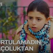 Kiraz Dan Fiko Ya Ablalık Ayarı Bizim Hikaye