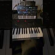 Transform Your Sound RIF Gman S Quick Tip For Mastering The Arturia Micro Freak Synthesizer