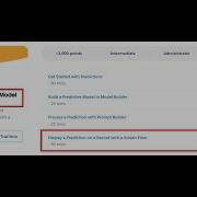 Display A Prediction On A Record With A Screen Flow Predictive Outputs From Model Builder