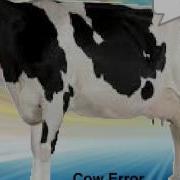 Cow Error 318