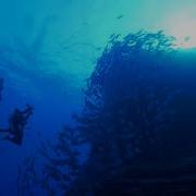 Peder B Helland Deep Underwater Radio Edit