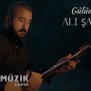 Ali Şah Gülüm 2020