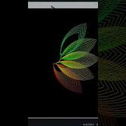 Python Turtle Graphics Flower Using Python Coding Programming Python Turtle Tutorial Shorts