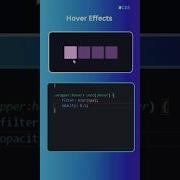 Hover Effect In CSS Css Webdesign