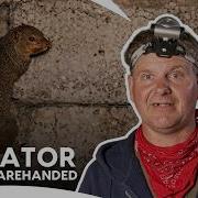 Turtleman Vs Deadly Predator Call Of The Wildman S2 Ep4 Animal Planet India