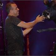 Haluk Levent Anla