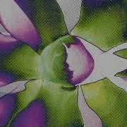 Depeche Mode Freelove No Guitar Version