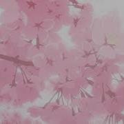 May Wave 12 Slowed Reverb