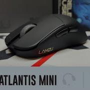 Обзор Lamzu Atlantis Mini Мега Мини мышь